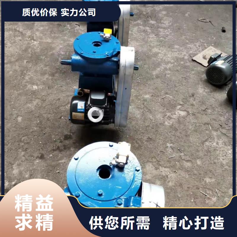驻马店摇摆式启闭机销量高