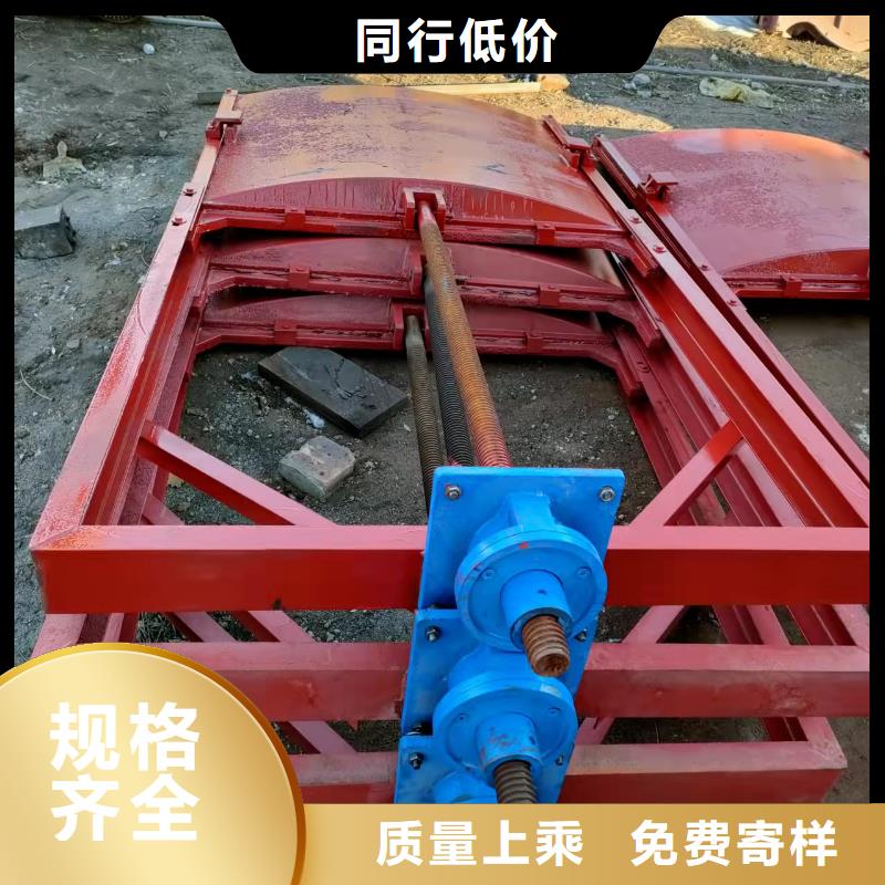 柳城信誉好的铸铁闸门公司