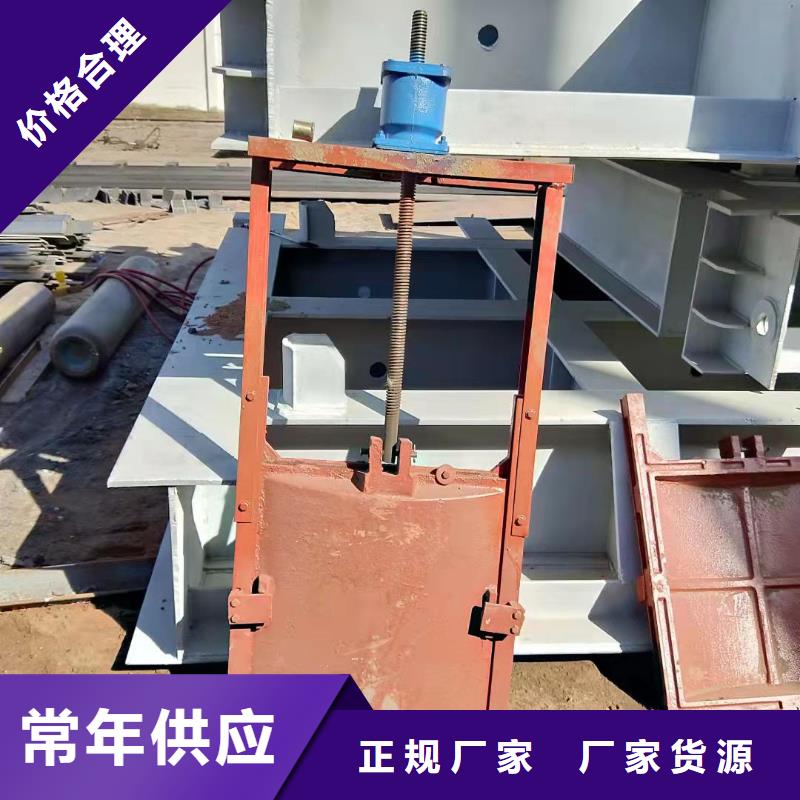 遂宁铸铁闸门贴心服务