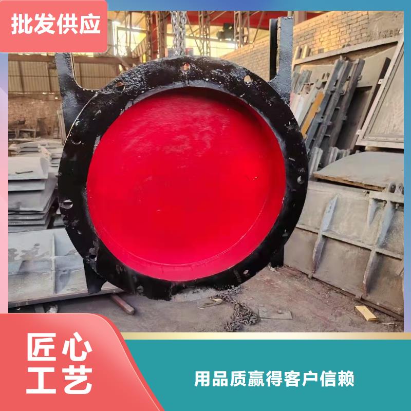襄樊质优价廉的附壁式铸铁闸门批发商