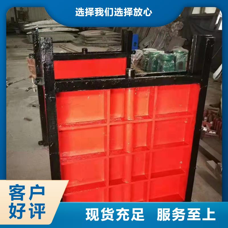 宜丰泵站铸铁闸门优选厂商
