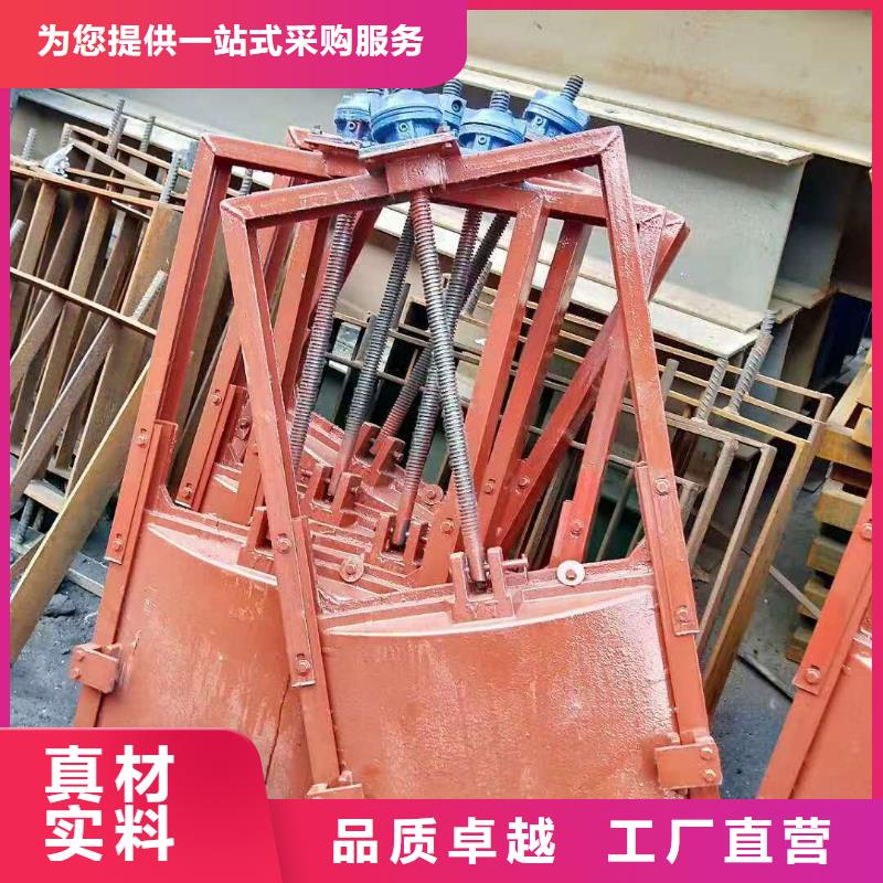 红河河道铸铁闸门一站式采购