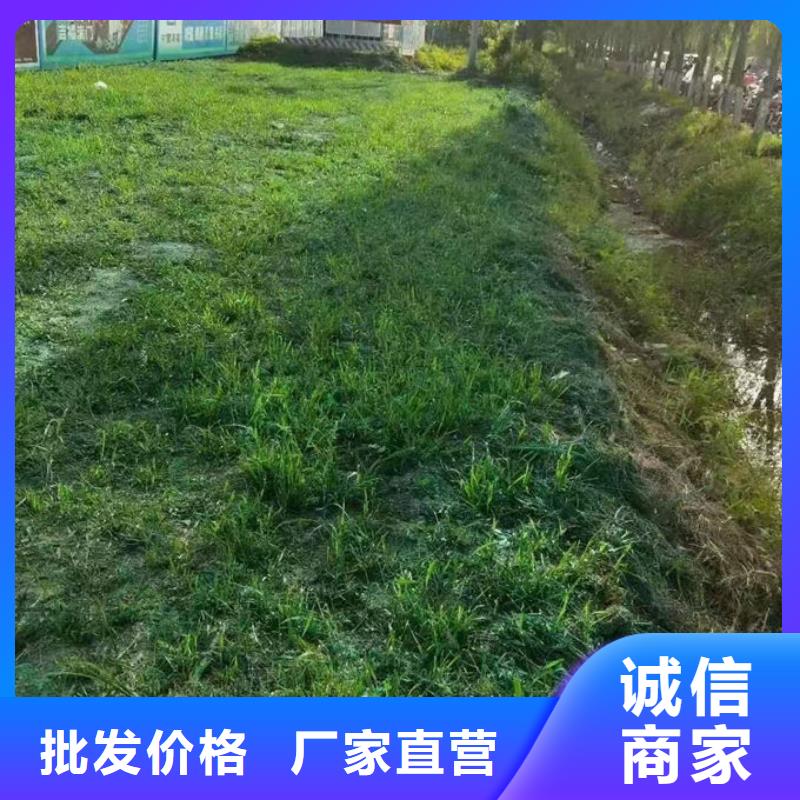 绿色结壳抑尘剂厂家货源