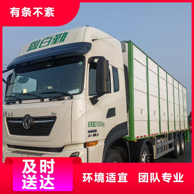 宿遷市泗洪到高欄車肥豬運輸照料精心