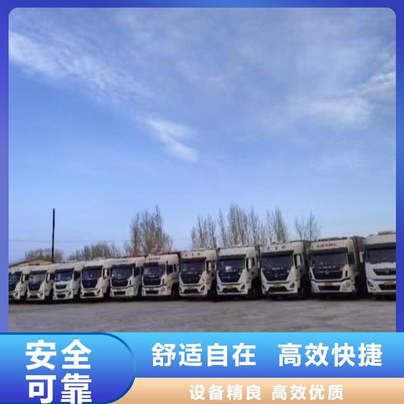 宿遷市泗洪到高欄車肥豬運輸照料精心