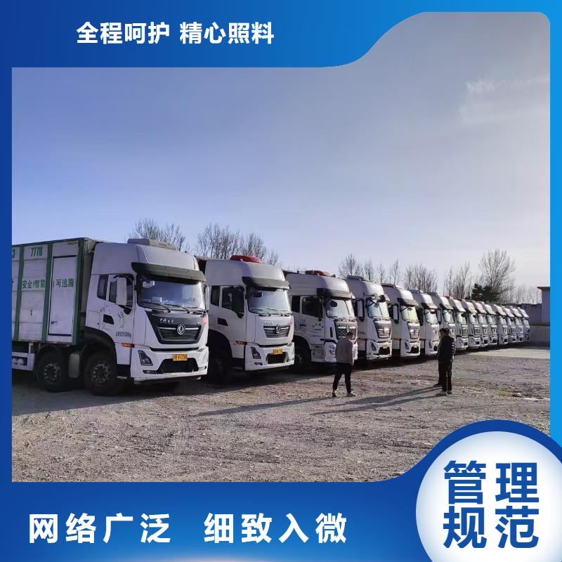 宿遷市泗洪到高欄車肥豬運輸照料精心