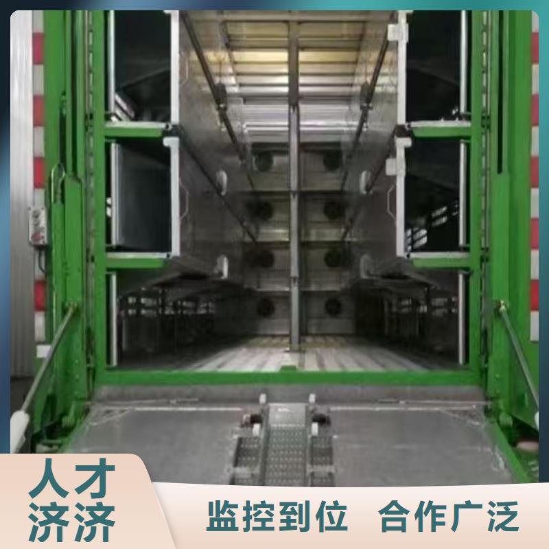 宿遷市泗洪到高欄車肥豬運輸照料精心