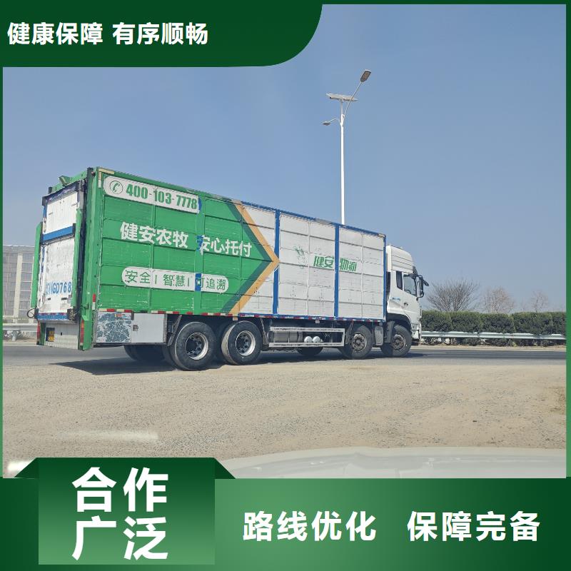 宿遷市到高欄車肥豬運輸快捷