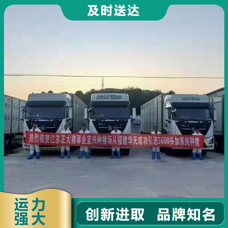 宿遷市泗陽到原料運輸防護周全
