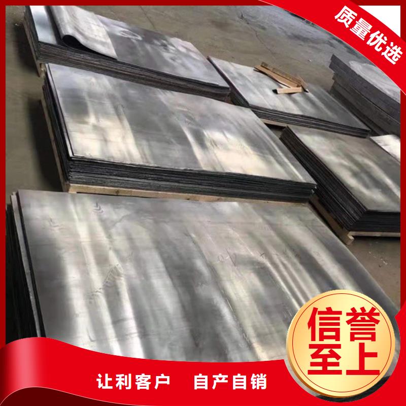 大连工业铅门做工细致