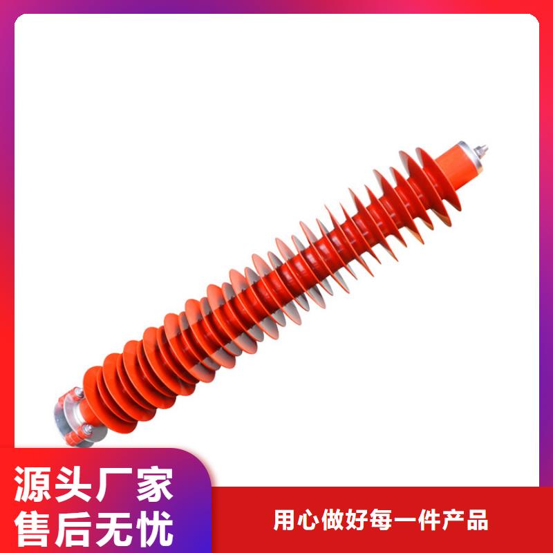 HY10CX-108/280氧化锌避雷器图片