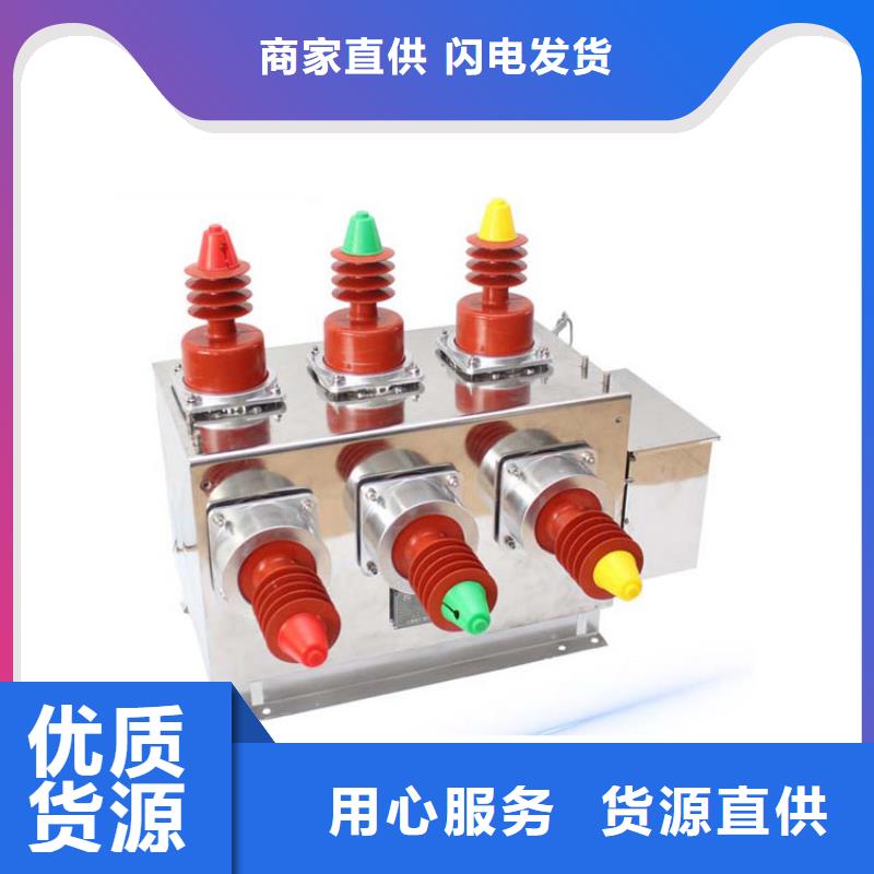 阜阳ZW8A-12G/630-20真空断路器售后无忧