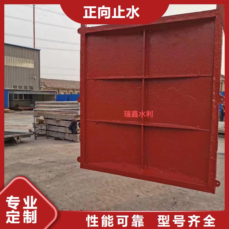 镇江市政建设铸铁镶铜闸门免费上门