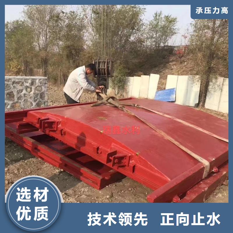 昆明市政建设平面铸铁闸门选材优质