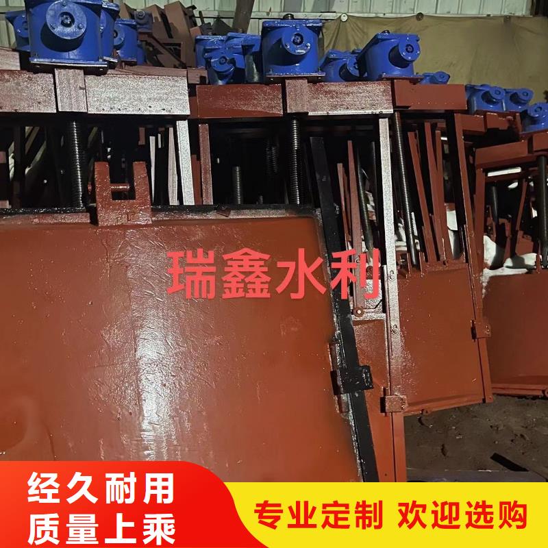 怀化市政建设河道铸铁闸门专业定制