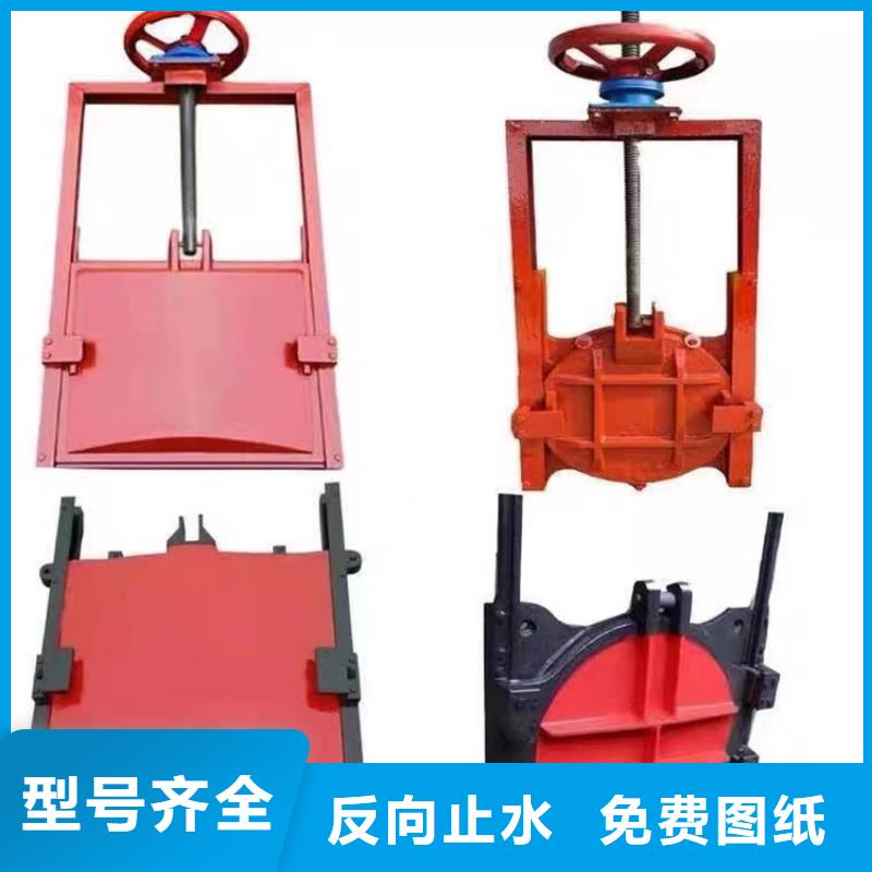 盘锦水电站铸铁镶铜闸门型号齐全