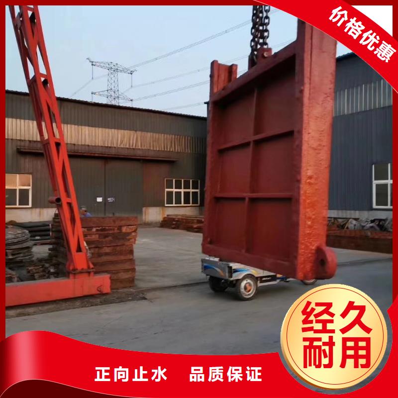 镇江市政建设铸铁镶铜闸门免费上门