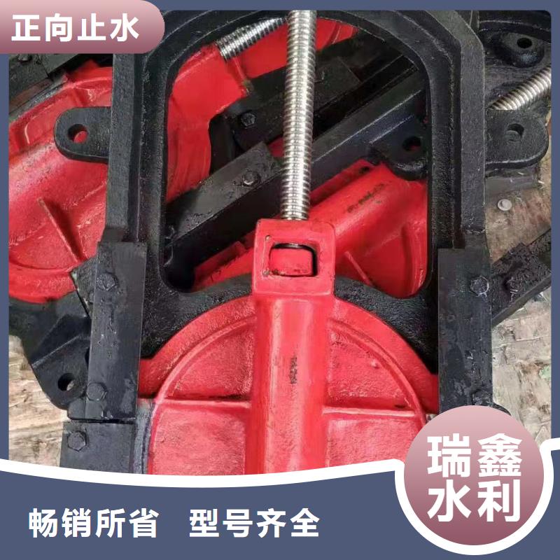 盘锦水电站铸铁镶铜闸门型号齐全