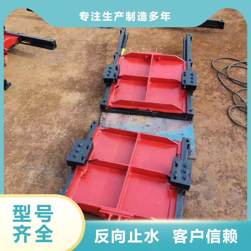盘锦水电站铸铁镶铜闸门型号齐全
