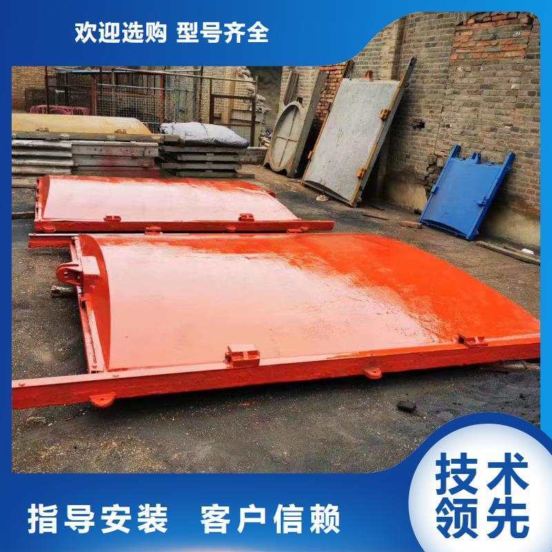 盘锦水电站铸铁镶铜闸门型号齐全