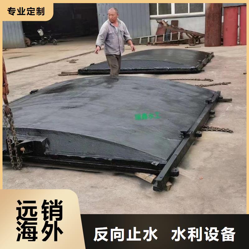 镇江市政建设铸铁镶铜闸门免费上门