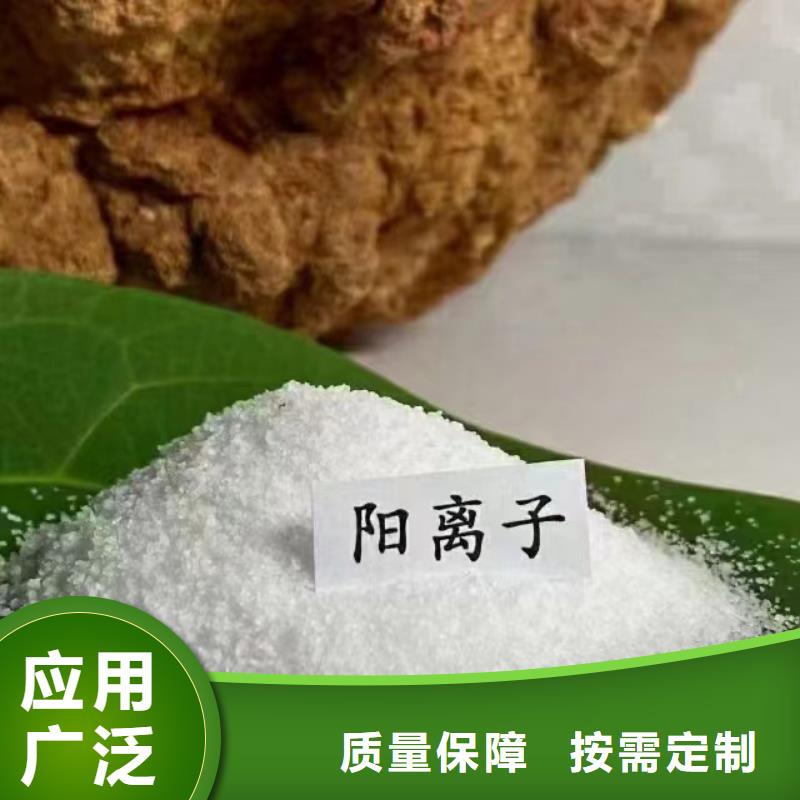 PAM非离子专业生产团队