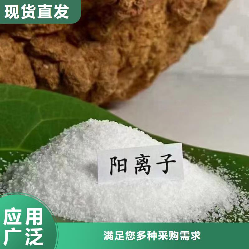 阳离子聚丙烯酰胺专业品质采购