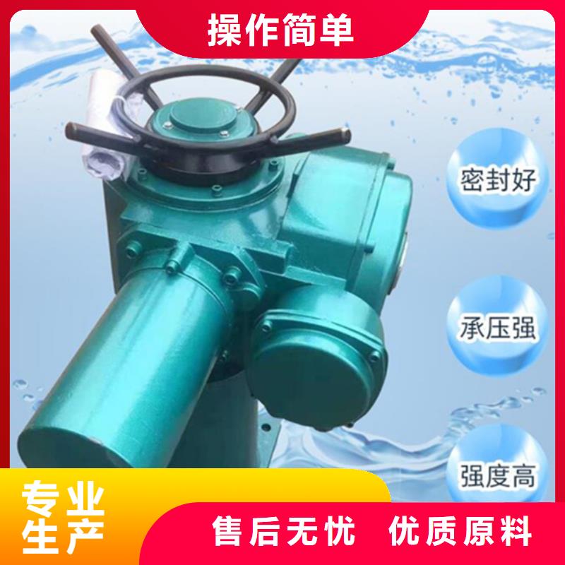 閘門啟閉機敢與同行比服務