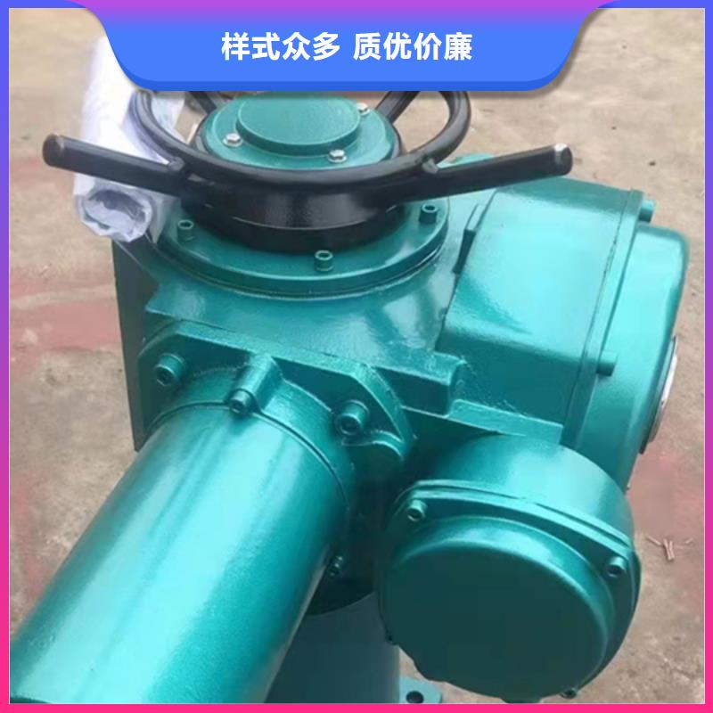 侧摇启闭机质量看得见