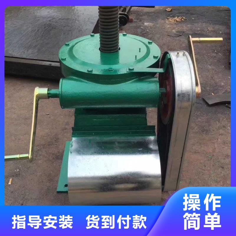 直连式启闭机市场