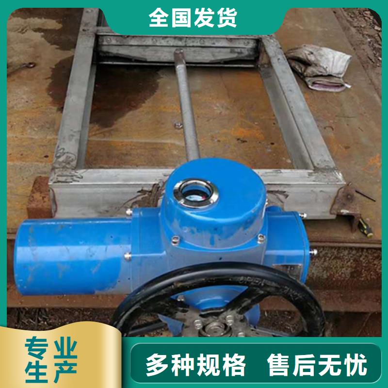侧摇启闭机质量看得见