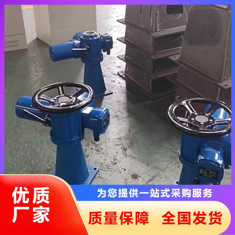 手电两用启闭机货真价实