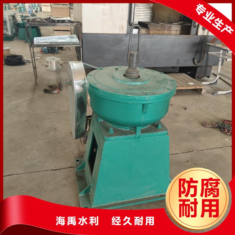 双吊点卷扬式启闭机敢与同行比服务