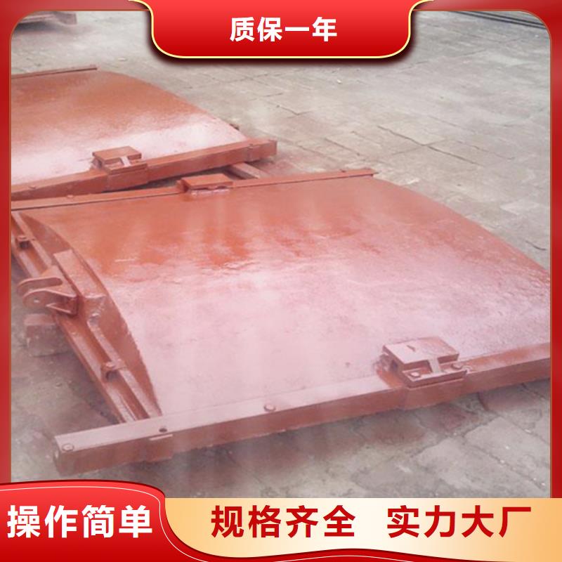 昆明鑲銅鑄鐵閘門經驗豐富