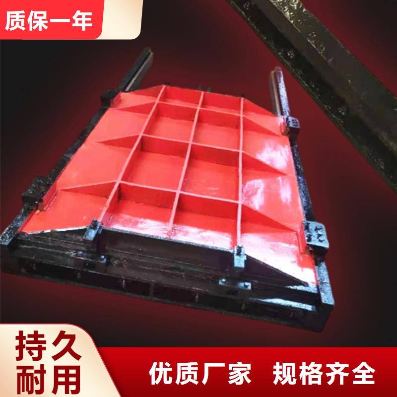 暗杆式铸铁闸门重信誉