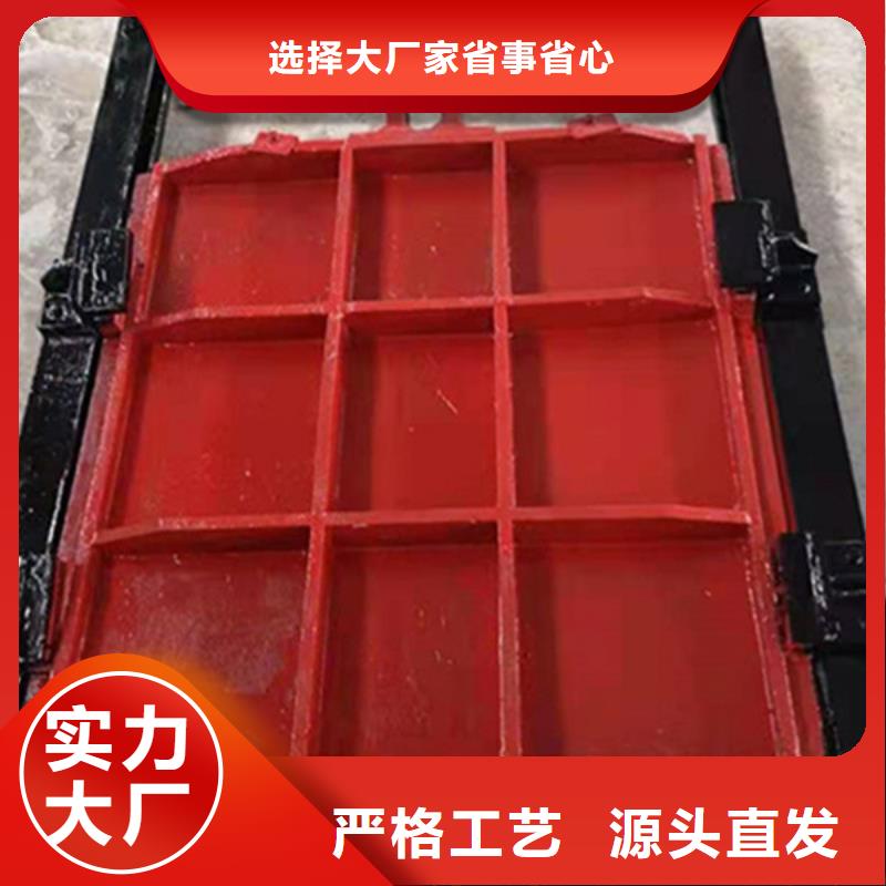 西藏铸铁方闸门服务始终如一