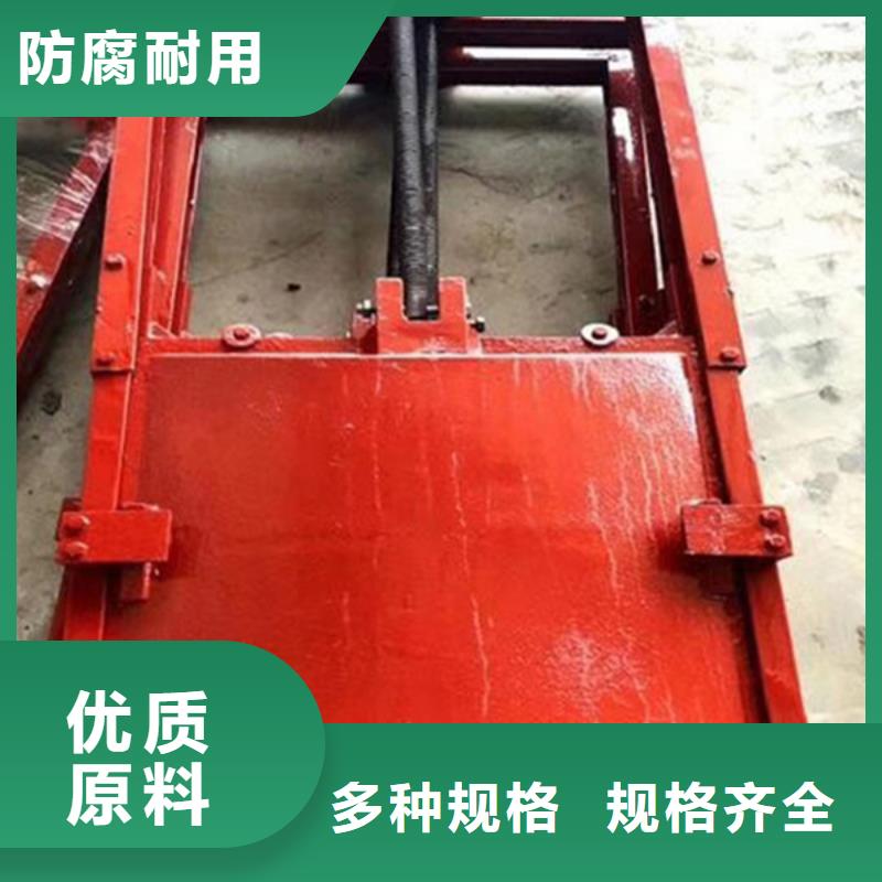 双止水铸铁闸门丰富的行业经验