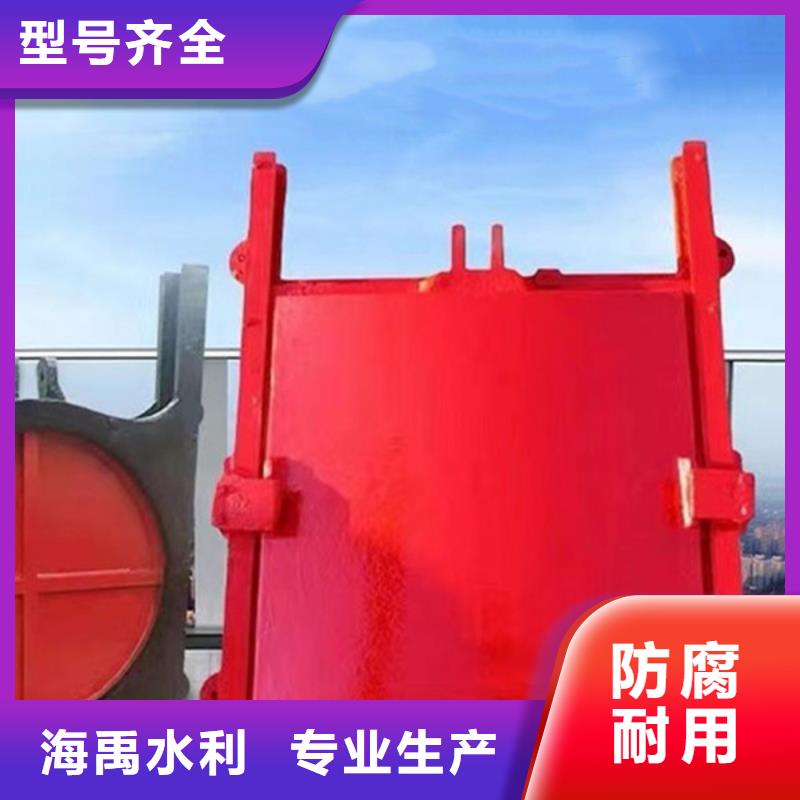 资阳暗杆式铸铁闸门质量层层把关