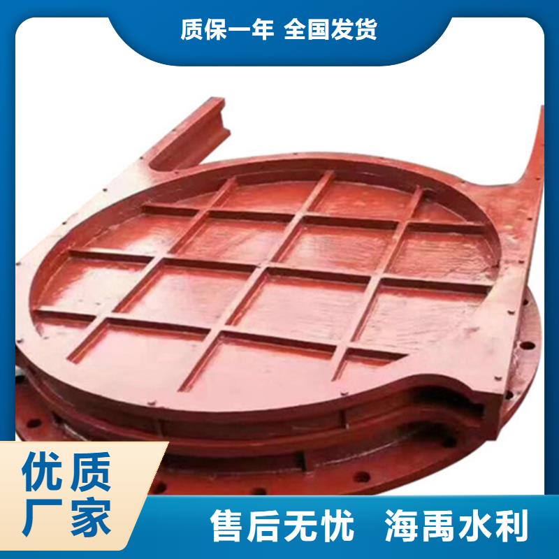 南寧雙止水鑄鐵閘門支持加工