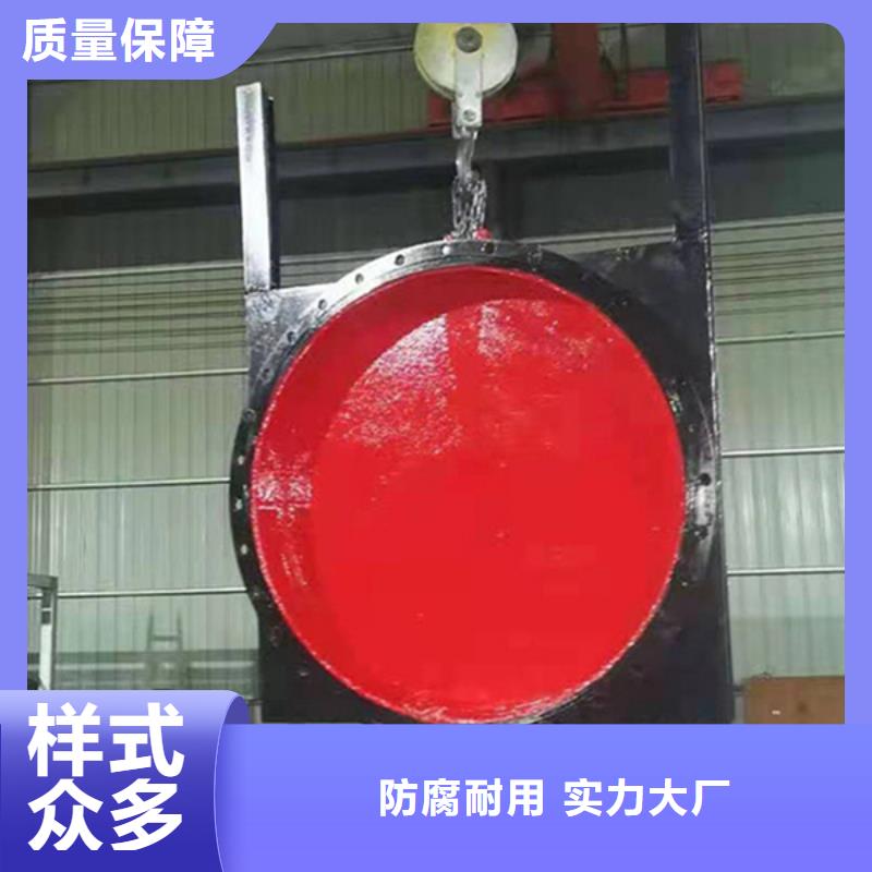 威海弧形鑄鐵閘門實體誠信經營