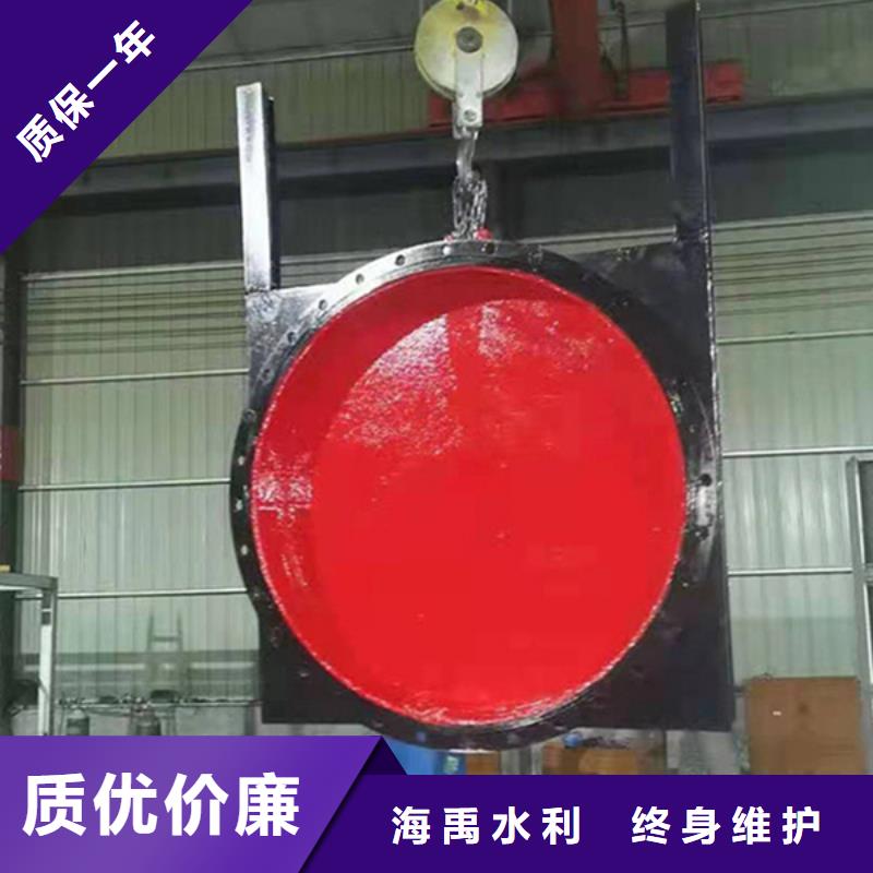 廣西潛孔式鑄鐵閘門支持
