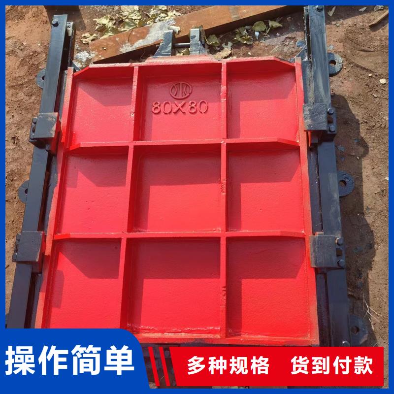 南寧雙止水鑄鐵閘門支持加工