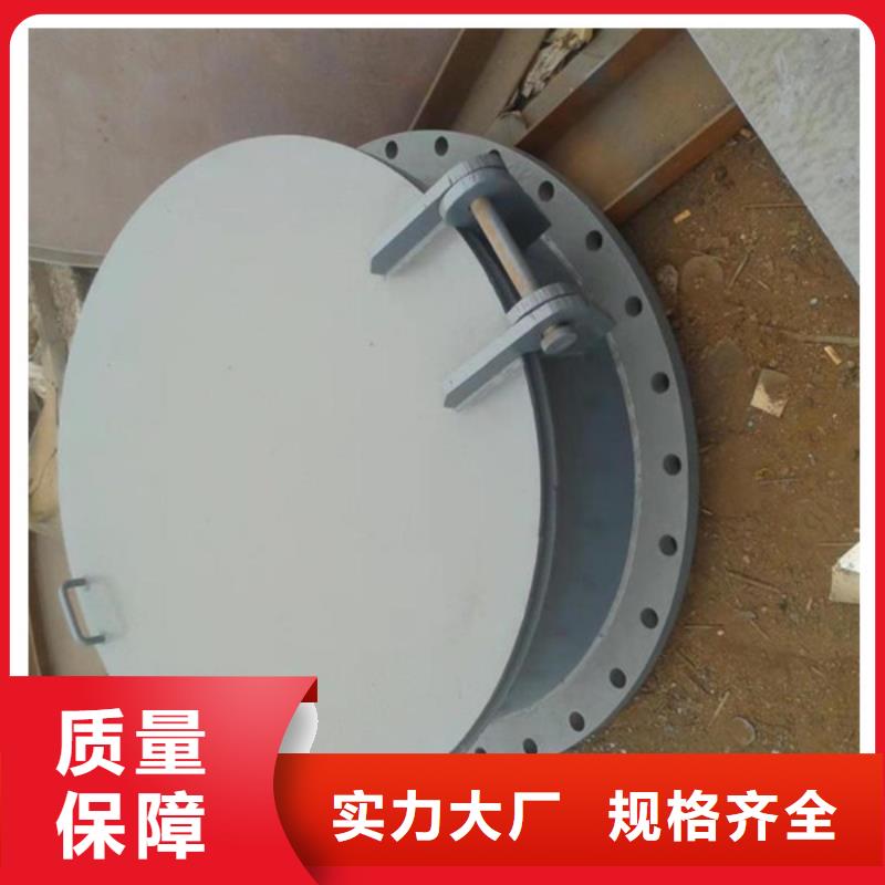 側開式拍門雙開門式拍門廠家質量保障