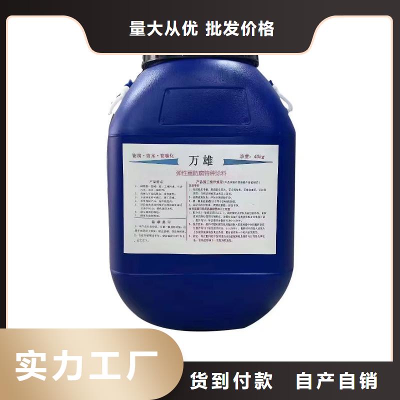 弹性重防腐特种涂料品质值得信赖加工AST合成高分子防水涂膜