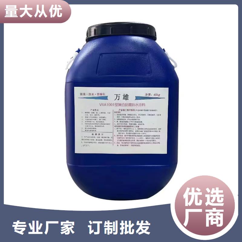 RLFA水性聚乙烯防腐涂料(污水厂)好品质经得住考验直销厂家PSQ高强防水防腐涂料400型