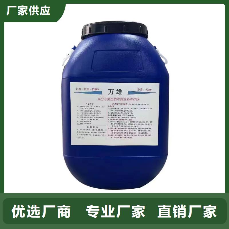RLFA水性聚乙烯防腐涂料(污水厂)好品质经得住考验直销厂家PSQ高强防水防腐涂料400型