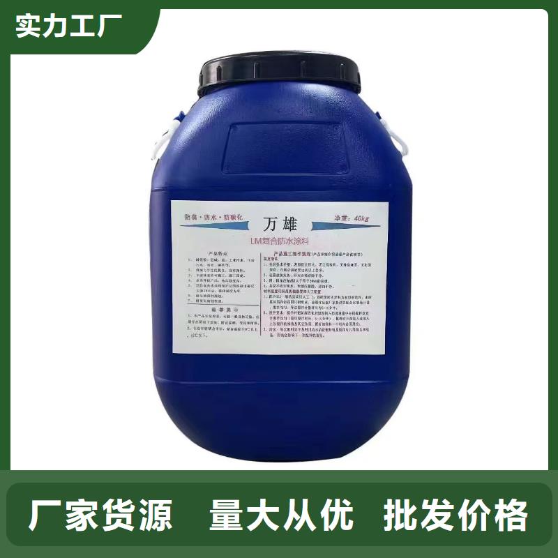 RLFA水性聚乙烯防腐涂料(污水厂)好品质经得住考验直销厂家PSQ高强防水防腐涂料400型