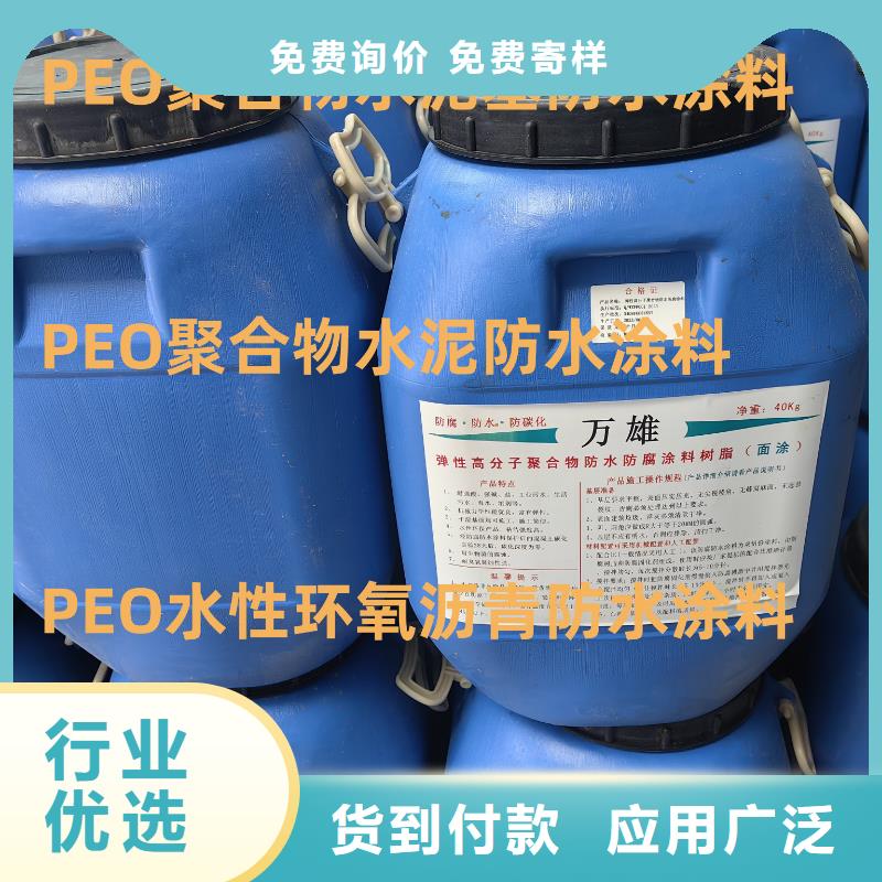 RLFA水性聚乙烯防腐涂料(污水厂)优选厂商LM复合防水涂料