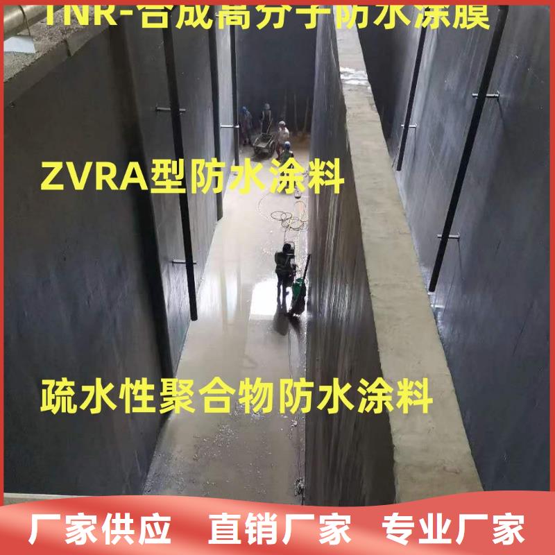 氰凝防腐涂料合理規(guī)格齊全CSPA滲透結(jié)晶型混凝土防腐保護(hù)劑