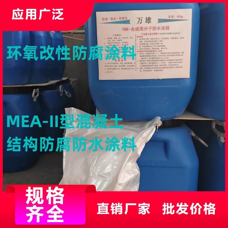 RLFA水性聚乙烯防腐涂料(污水厂)优选厂商LM复合防水涂料